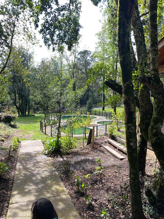 Hermoso Departamento En * Pucón